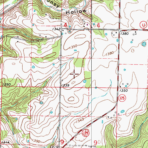 Topographic Map of KSWM-AM (Republic), MO