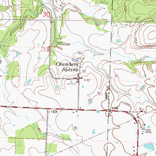 Topographic Map of Chambers Spring (historical), AR