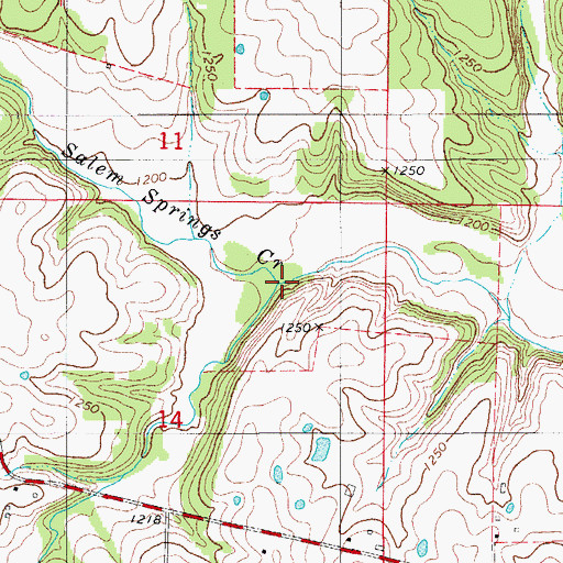 Topographic Map of Salem Springs Creek, MO