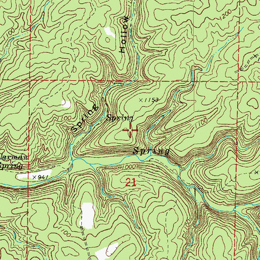 Topographic Map of Carmen Springs Wildlife Refuge Management Area, MO