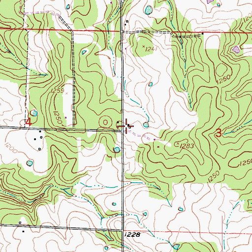Topographic Map of Winter Store, MO