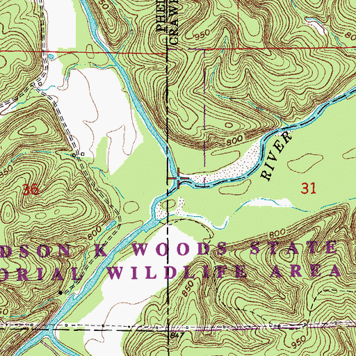 Topographic Map of Dry Fork, MO
