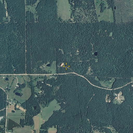 Aerial/Satellite Image of Asher Lookout Tower, MO