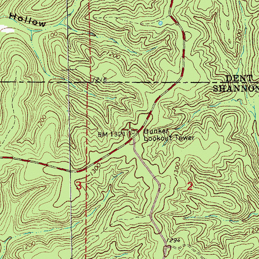 Topographic Map of Bunker Lookout Tower, MO