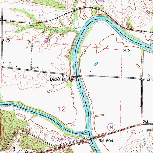 Topographic Map of Dicks Bridge, MO