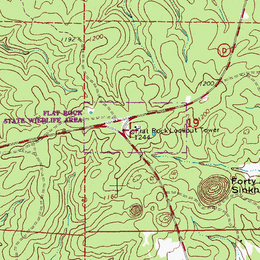 Topographic Map of Rock Lookout Tower, MO
