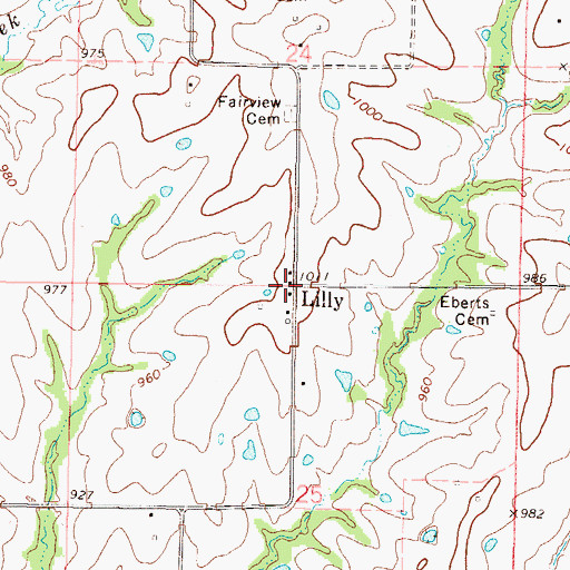 Topographic Map of Lilly, MO