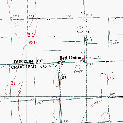 Topographic Map of Red Onion, MO