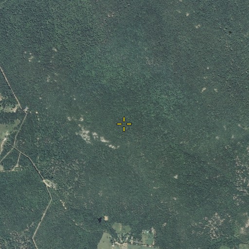 Aerial/Satellite Image of Aley Mountain, MO