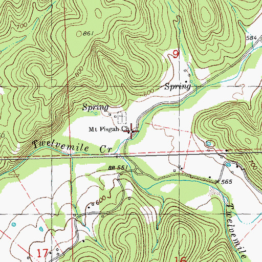 Topographic Map of Mount Pisgah Church, MO
