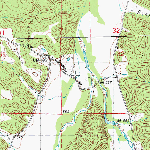 Topographic Map of George (historical), MO