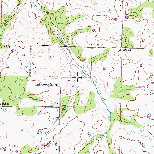 Topographic Map of Bengal, MO