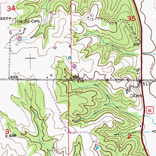 Topographic Map of Santuzza, MO