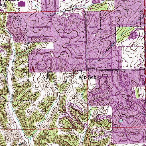 Topographic Map of Alt School, MO
