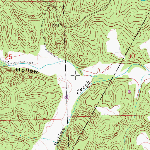 Topographic Map of Anderson Hollow, MO