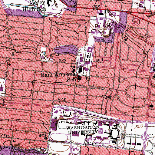 Topographic Map of Bani Amoona School, MO
