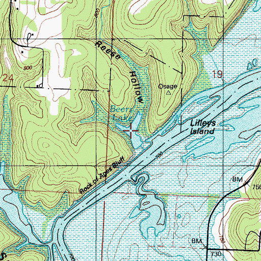 Topographic Map of Beers Lake, MO