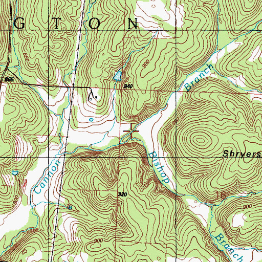 Topographic Map of Bishop Branch, MO