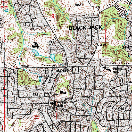 Topographic Map of Black Jack, MO