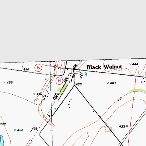 Topographic Map of Black Walnut, MO