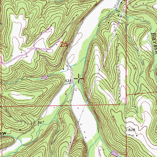 Topographic Map of Boyd Branch, MO