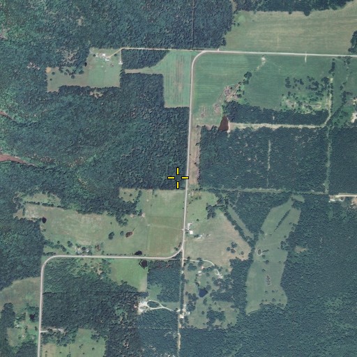 Aerial/Satellite Image of Bradford School (historical), MO