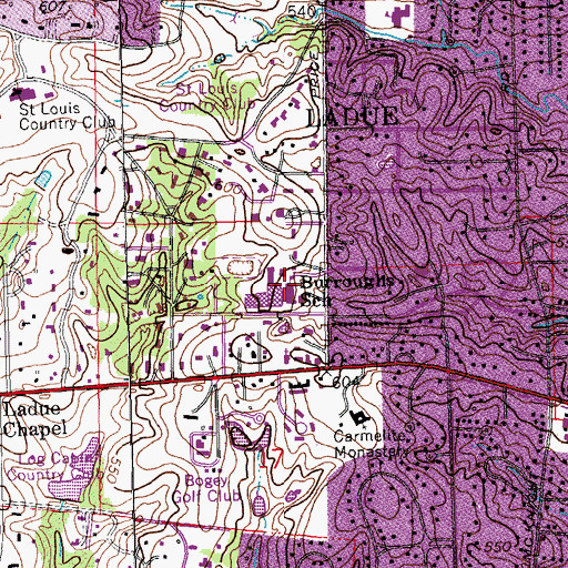Topographic Map of Burroughs School, MO
