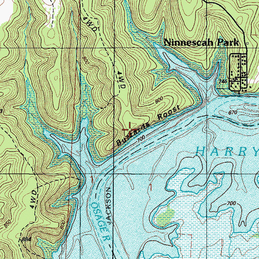 Topographic Map of Buzzards Roost, MO
