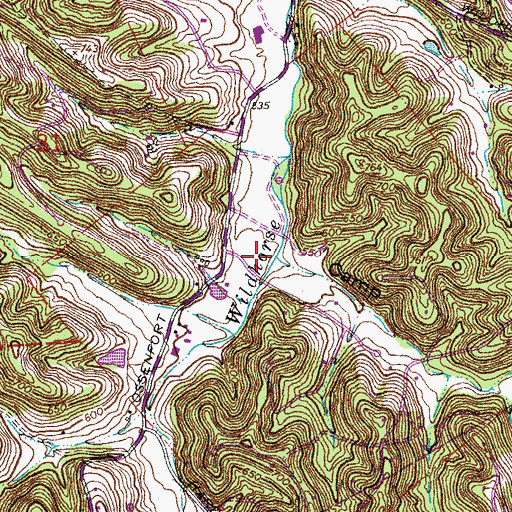 Topographic Map of Camp Hollow, MO
