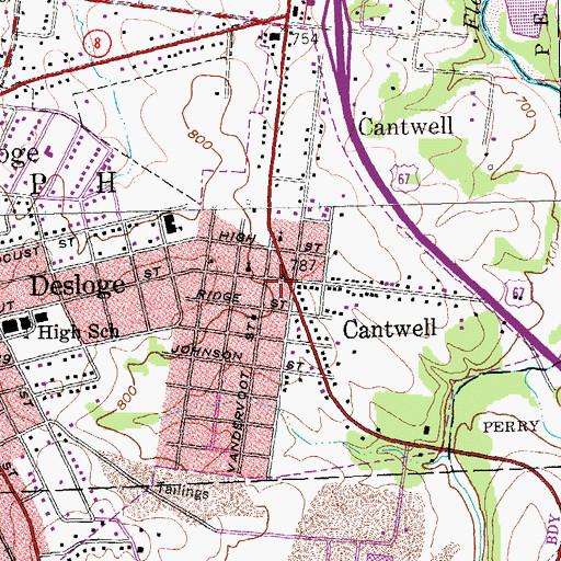 Topographic Map of Cantwell, MO