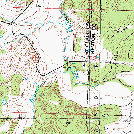 Topographic Map of Carey Branch, MO
