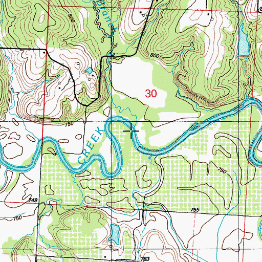 Topographic Map of Cave Branch, MO