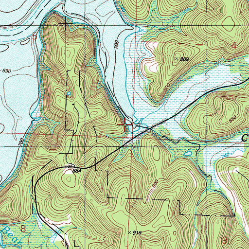 Topographic Map of Collins Hollow, MO