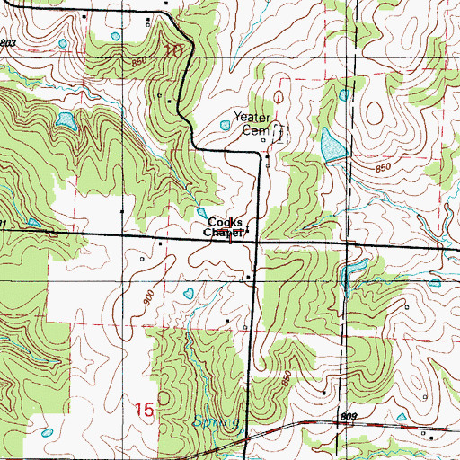 Topographic Map of Cooks Chapel, MO