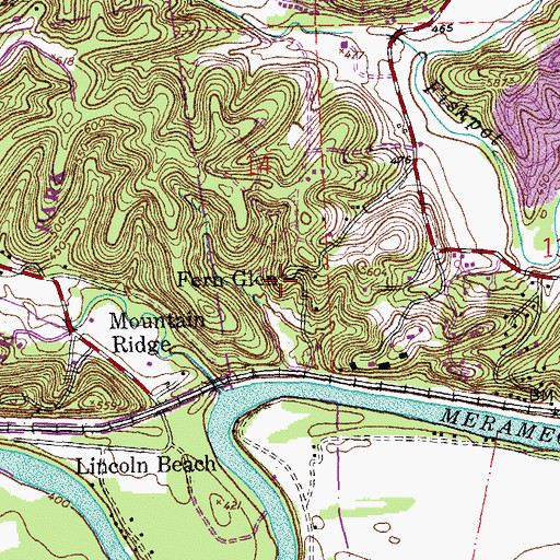 Topographic Map of Fern Glen, MO