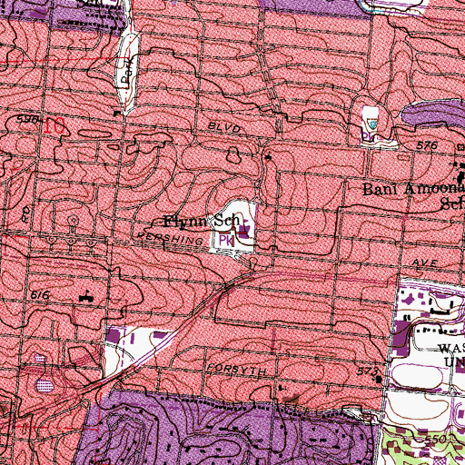 Topographic Map of Flynn School, MO