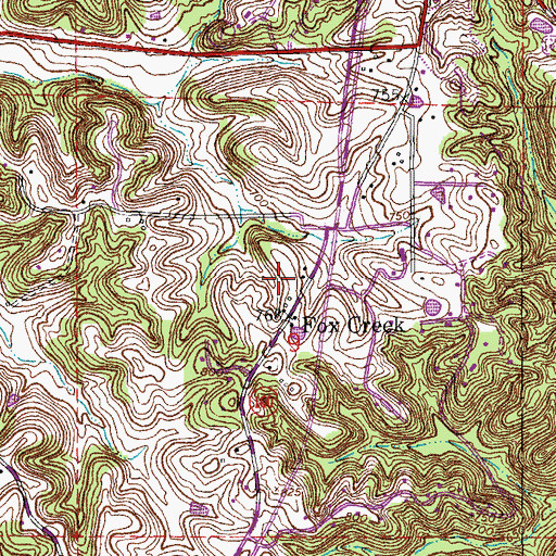 Topographic Map of Fox Creek, MO
