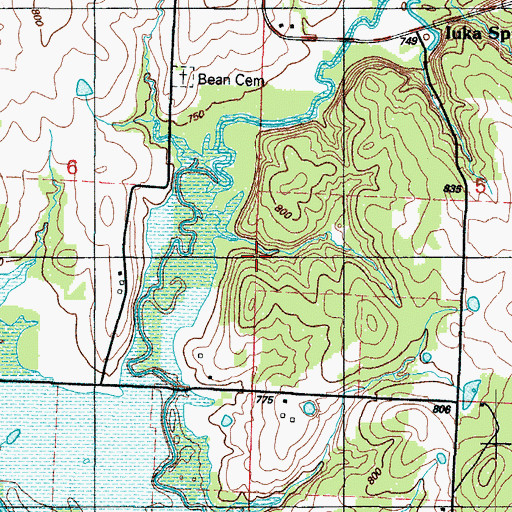 Topographic Map of Hays Mine (historical), MO