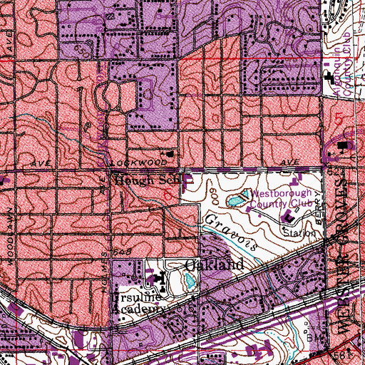 Topographic Map of Hough School, MO