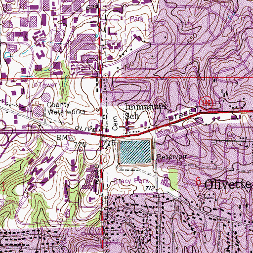 Topographic Map of Immanuel School, MO