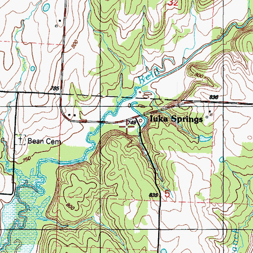 Topographic Map of Iuka Springs, MO