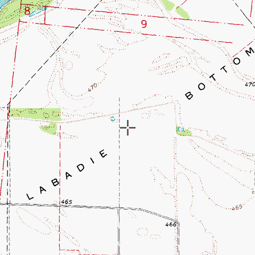 Topographic Map of Labadie Bottoms, MO