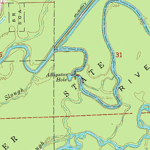 Topographic Map of Alligator Hole, AR