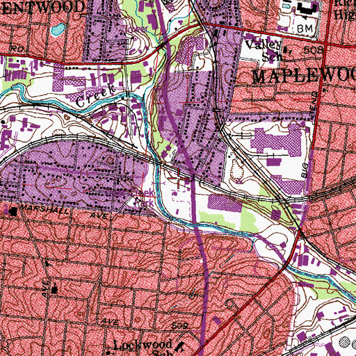 Topographic Map of Lake Junction, MO