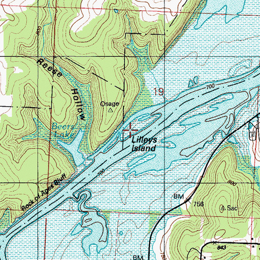 Topographic Map of Lilleys Island, MO