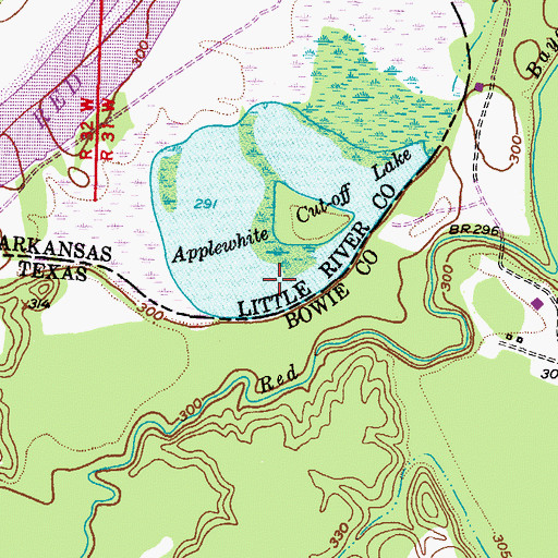 Topographic Map of Applewhite Cut-off Lake, AR