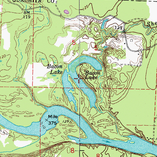 Topographic Map of Bacon Lake, AR