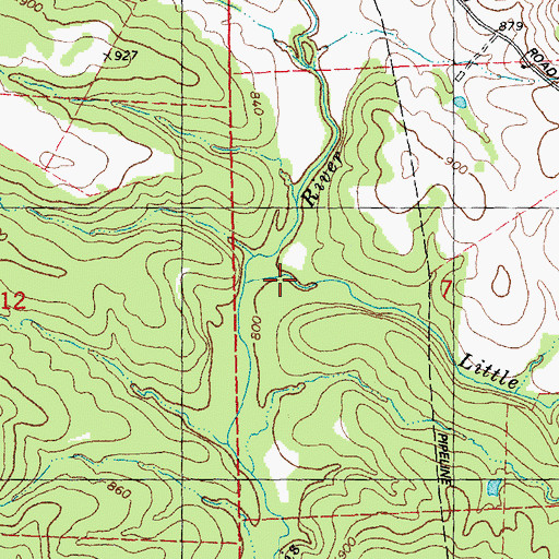 Topographic Map of Little Rock Creek, MO
