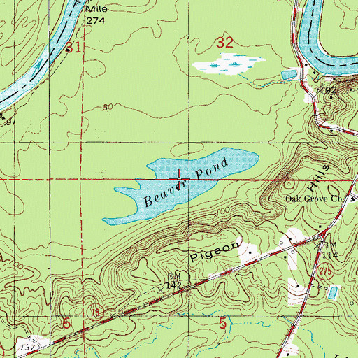 Topographic Map of Beaver Pond, AR