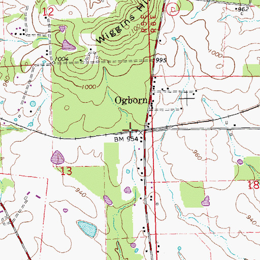 Topographic Map of Ogborn, MO